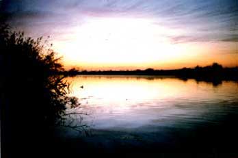 Sacramento River at dawn