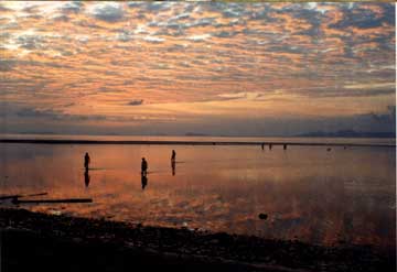 clam diggers