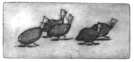 Page's etching of Guinea Hens